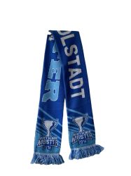 Шал на футболен отбор ERC INGOLSTADI